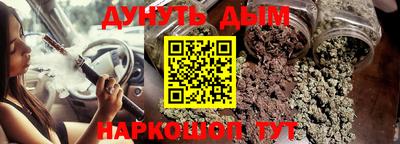 сатива Славгород