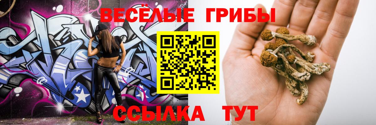 Галлюциногенные грибы Psilocybine cubensis Орск