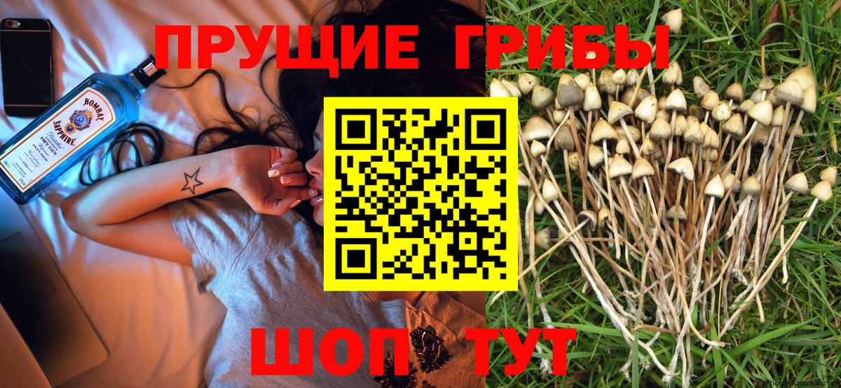 Орск  Галлюциногенные грибы мухоморы  Галлюциногенные грибы ЛСД  Вход с VPN 